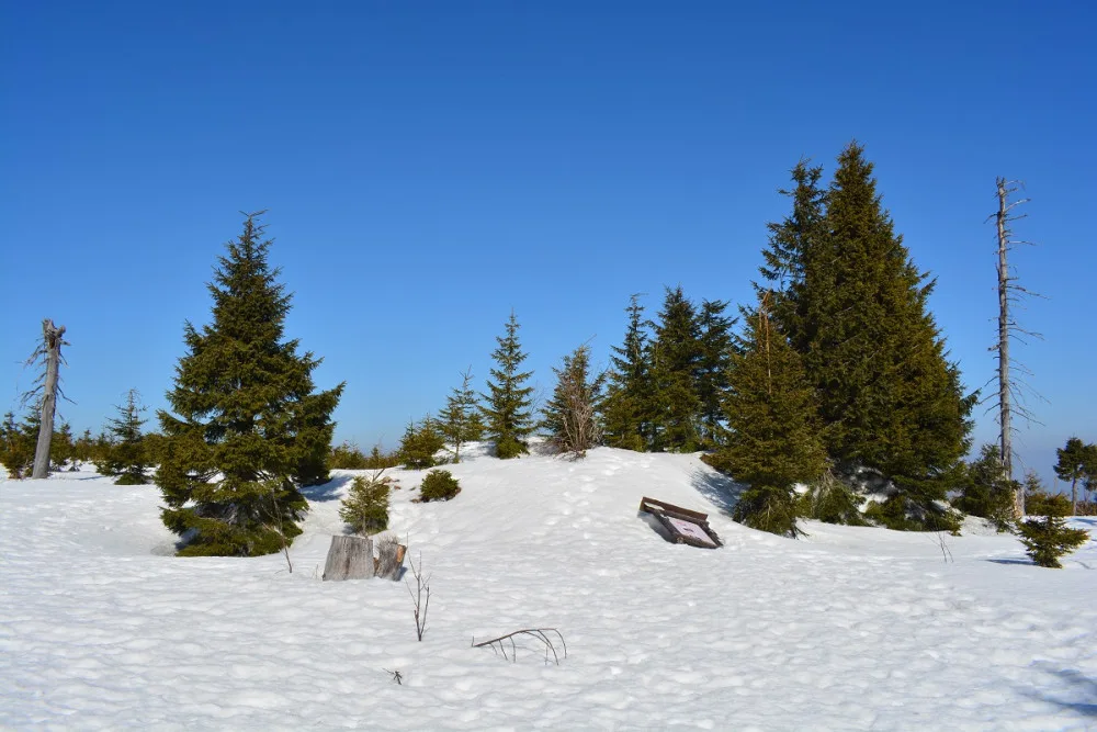 Ztracený trůn krále Zmizelé Šumavy je už opět na původním místě, našel ho náhodně jeden turista
