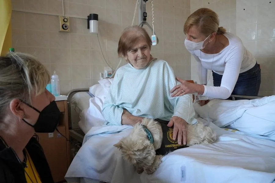 ilustrační foto.