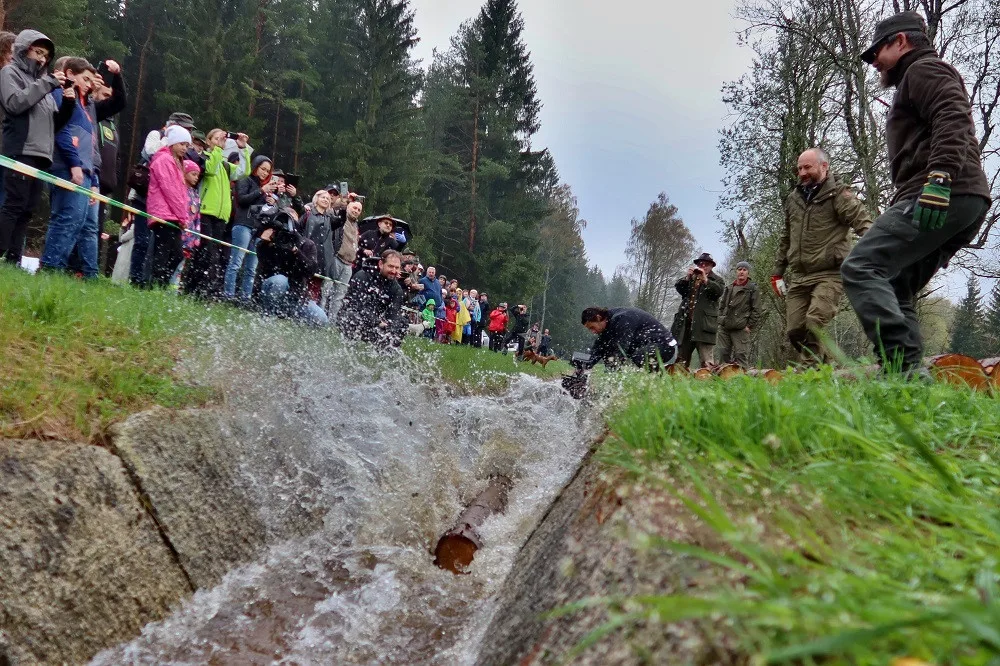 Želnavským smykem se po více než 60 letech plavilo dřevo. Rekonstrukce trvala tři roky.