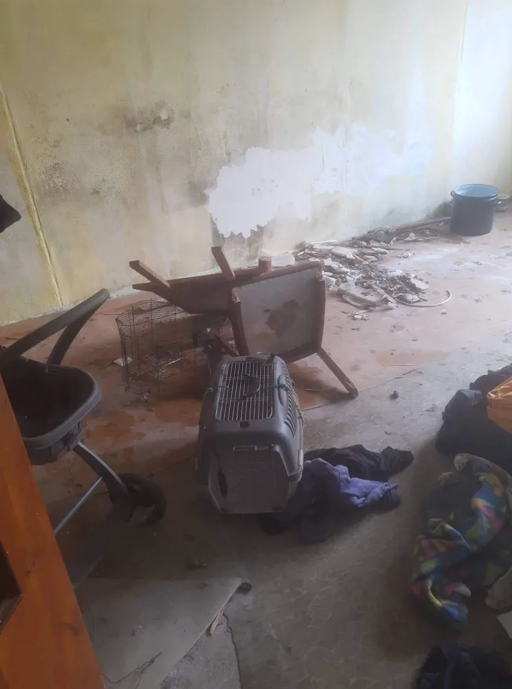 V otřesných podmínkách živořily desítky psů, díky spolkům na ochranu zvířat mají naději na normální život
