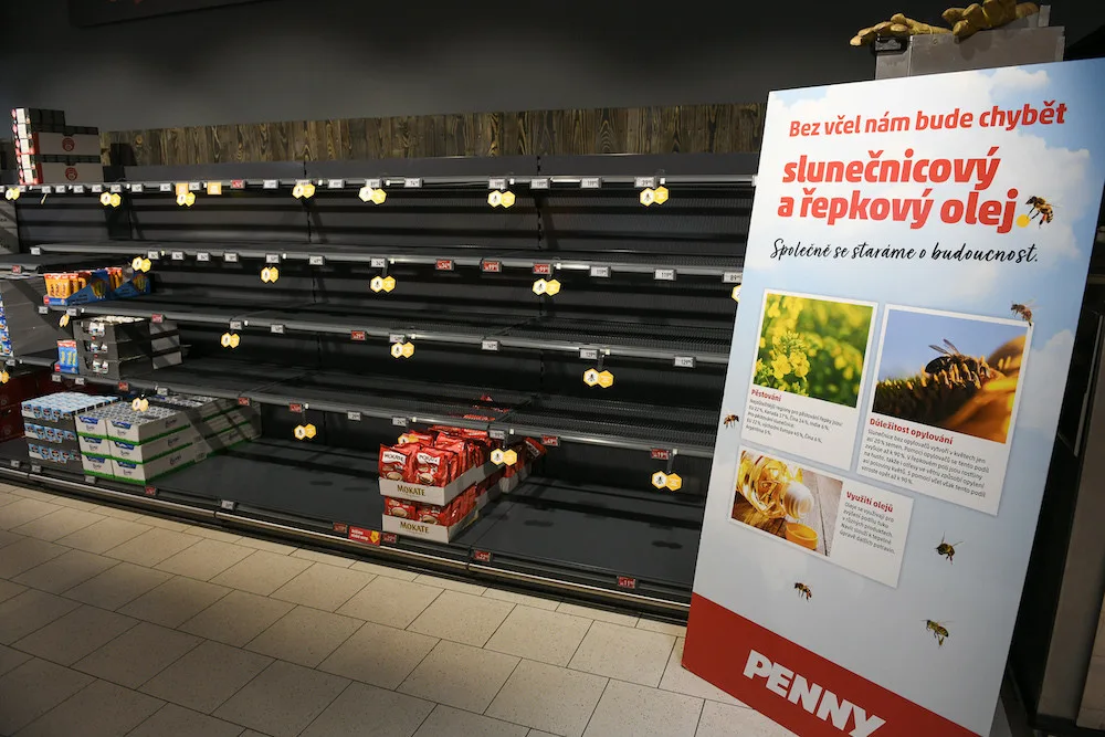 Bez včel bychom přišli o šedesát procent potravin.