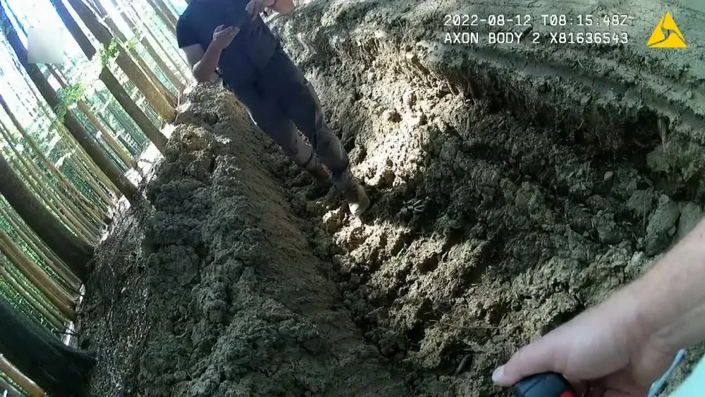 Nejhorší devastace lesů za poslední roky, kritizují spolky hospodaření v šumavském národním parku