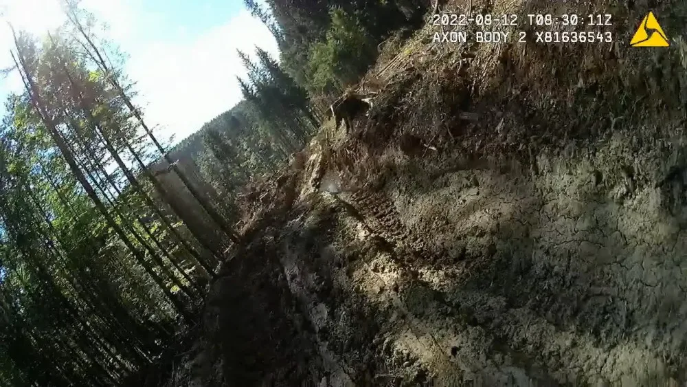 Nejhorší devastace lesů za poslední roky, kritizují spolky hospodaření v šumavském národním parku