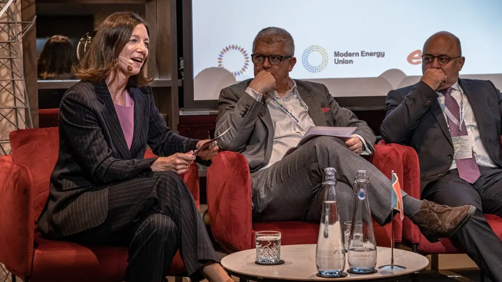 Pro energetickou budoucnost je důležitá spolupráce průmyslu, politiků i zákazníků, shodli se odborníci.