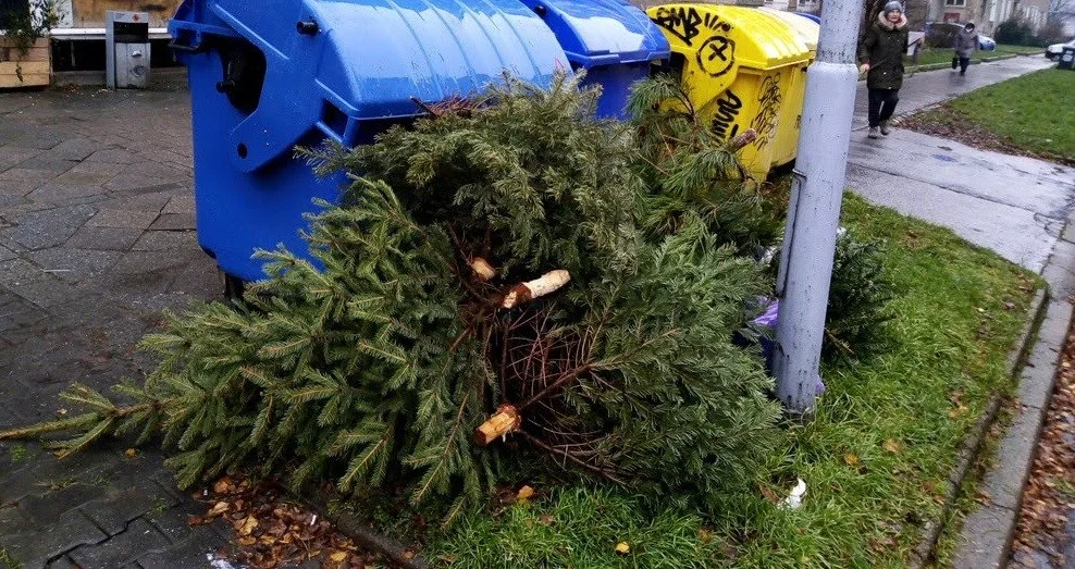 ilustrační foto.