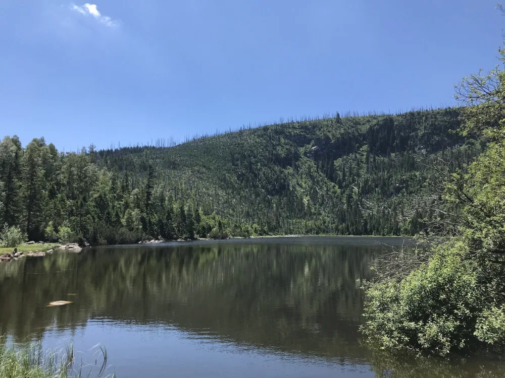 Lidé chtějí třídit odpad v přírodě. V národních parcích však koše nenajdou.