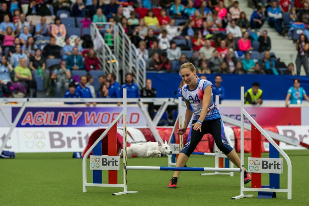 Mistrovství světa agility v Liberci se nezadržitelně blíží, vstupenky mizí.