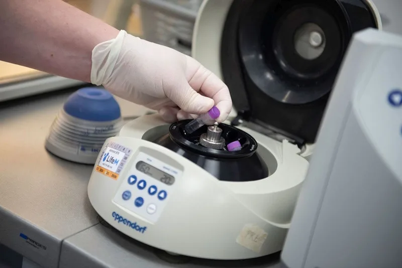 Genetické testování odhaluje rizika nádorů prsu či vaječníků