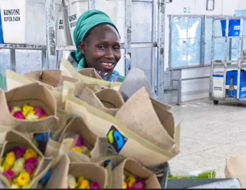 Nová studie potvrzuje, že zapojení do Fairtrade přináší pro pracovníky na květinových farmách hmatatelné výhody