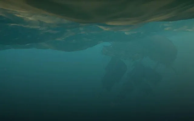 Sea of Thieves – pirátem snadno a rychle.