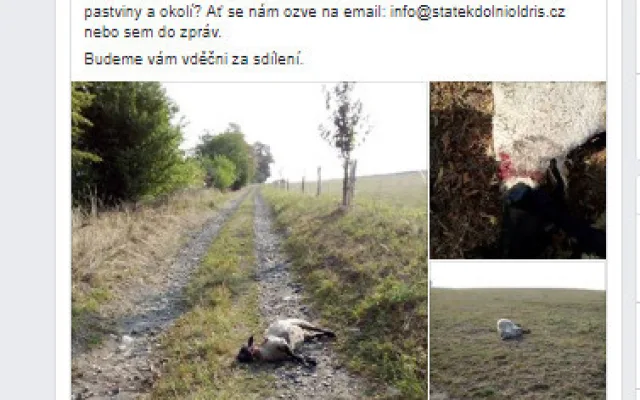 Příspěvek na facebooku