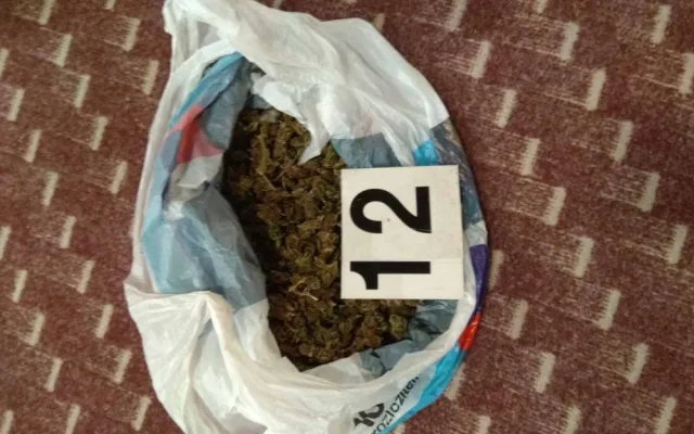 Policisté zabavili 50 kilo trávy, dealer byl přitom na marihuanu alergický.