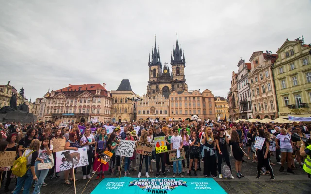 Kočka, pes i kráva, mají svoje práva! Volali lidé v rámci pochodu za práva zvířat.
