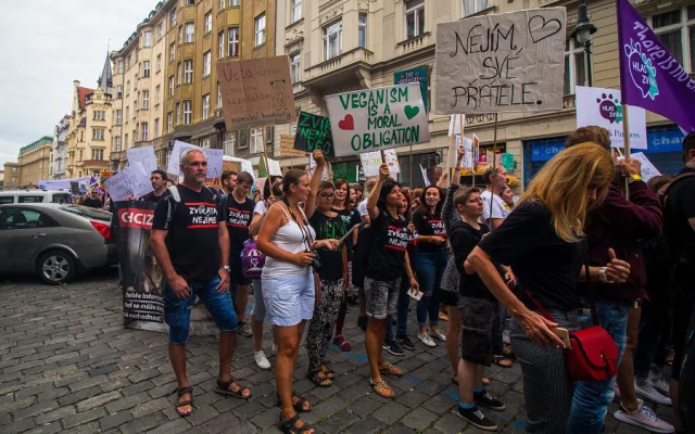 Kočka, pes i kráva, mají svoje práva! Volali lidé v rámci pochodu za práva zvířat.