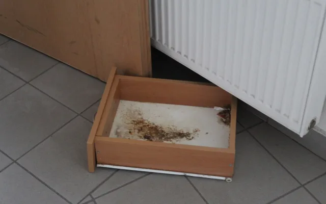 Drogy, hluk a nepořádek. V brněnském domě dělají zle obyvatelé sociálních bytů