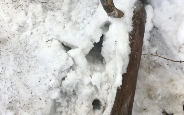 Ztracený trůn krále Zmizelé Šumavy je už opět na původním místě, našel ho náhodně jeden turista
