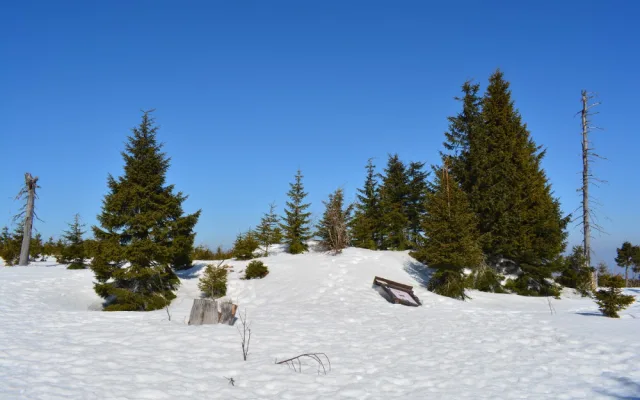 Ztracený trůn krále Zmizelé Šumavy je už opět na původním místě, našel ho náhodně jeden turista