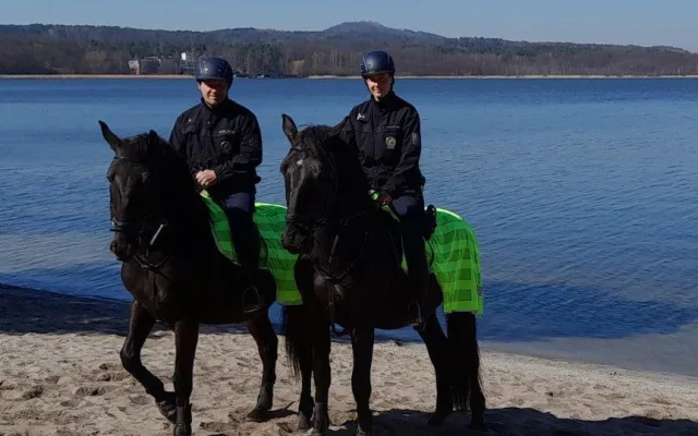 Jeden kůň budí větší respekt než deset policistů na zemi, říká vedoucí oddělení jízdní policie ve Frýdlantu