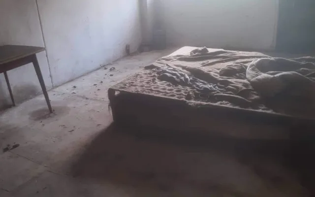 V otřesných podmínkách živořily desítky psů, díky spolkům na ochranu zvířat mají naději na normální život