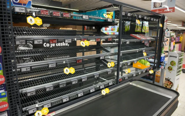 Bez včel bychom přišli o šedesát procent potravin.