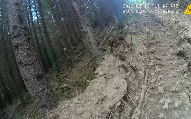 Nejhorší devastace lesů za poslední roky, kritizují spolky hospodaření v šumavském národním parku