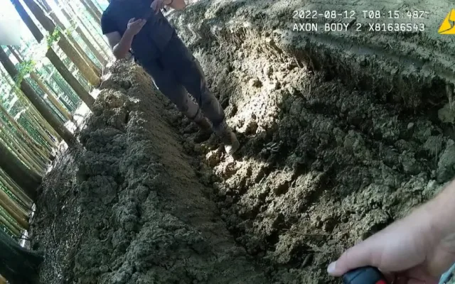 Nejhorší devastace lesů za poslední roky, kritizují spolky hospodaření v šumavském národním parku