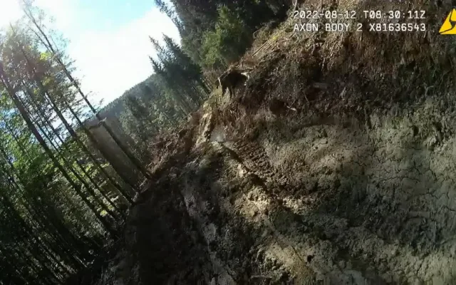 Nejhorší devastace lesů za poslední roky, kritizují spolky hospodaření v šumavském národním parku