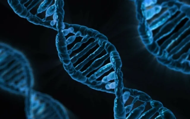 Test DNA od DNA ERA je vhodný pro lidi všech věkových kategorií
