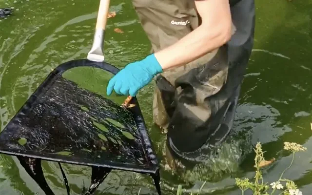 Černá mastná látka znečistila Nežárku. Vzorky putují na rozbor