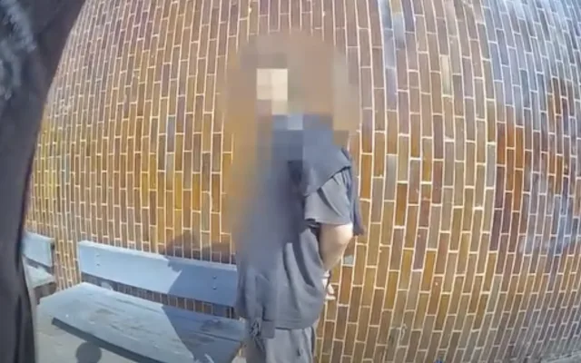 Moje máti dělá v justici. Opilec u metra strážníky neohromil, skončil v poutech