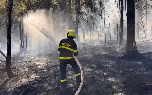 Hasiči bojují s velkým požárem lesa a pole. Zasahuje obrovské množství techniky