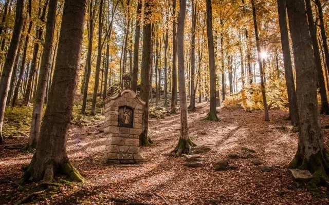 Z Pelhřimova na Křemešník povede nová poutní cesta. Nabídne devět zastavení