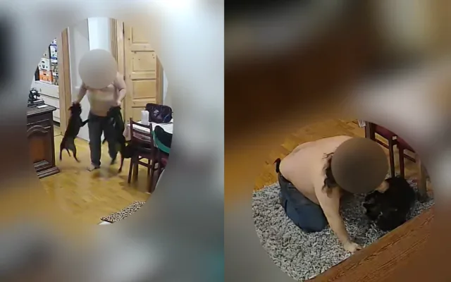 Týral syna, partnerku i psy. Policie zveřejnila otřesné video chování násilníka