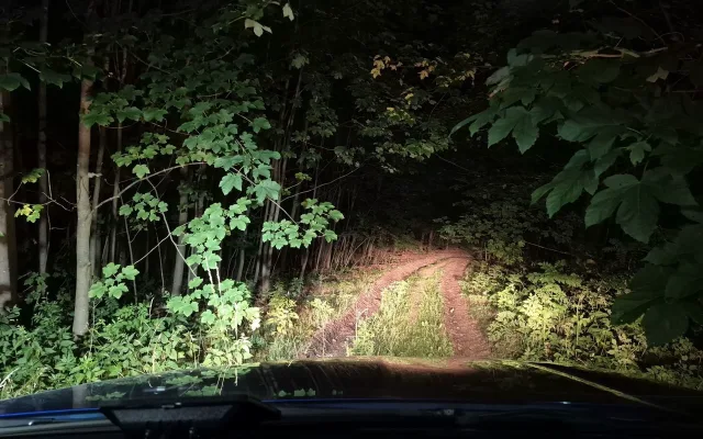 VIDEO: Košík plný hub, ale cesta nikde. Seniorku hledal i vrtulník