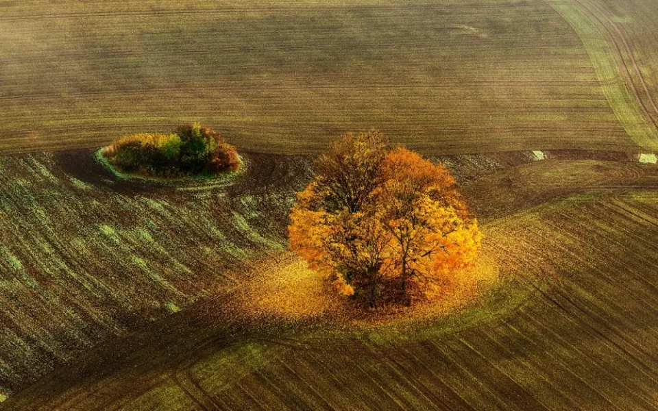 Ilustrační fotografie