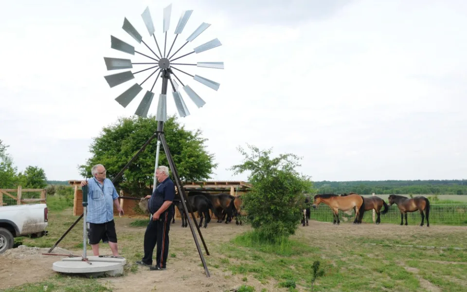 Kutil Floriš