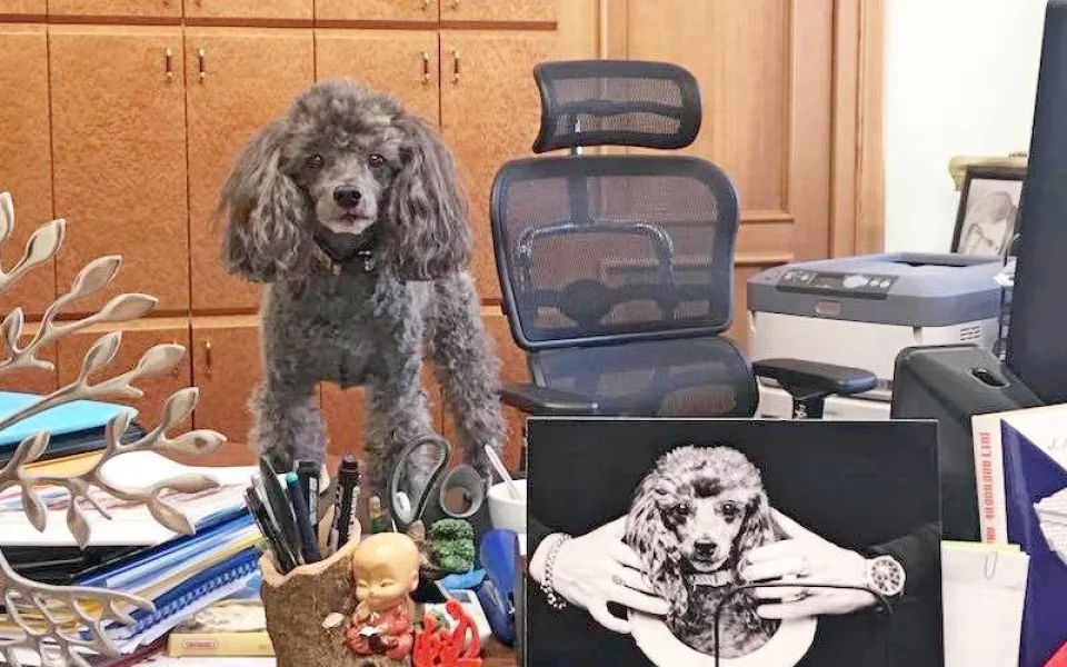 ilustrační foto.