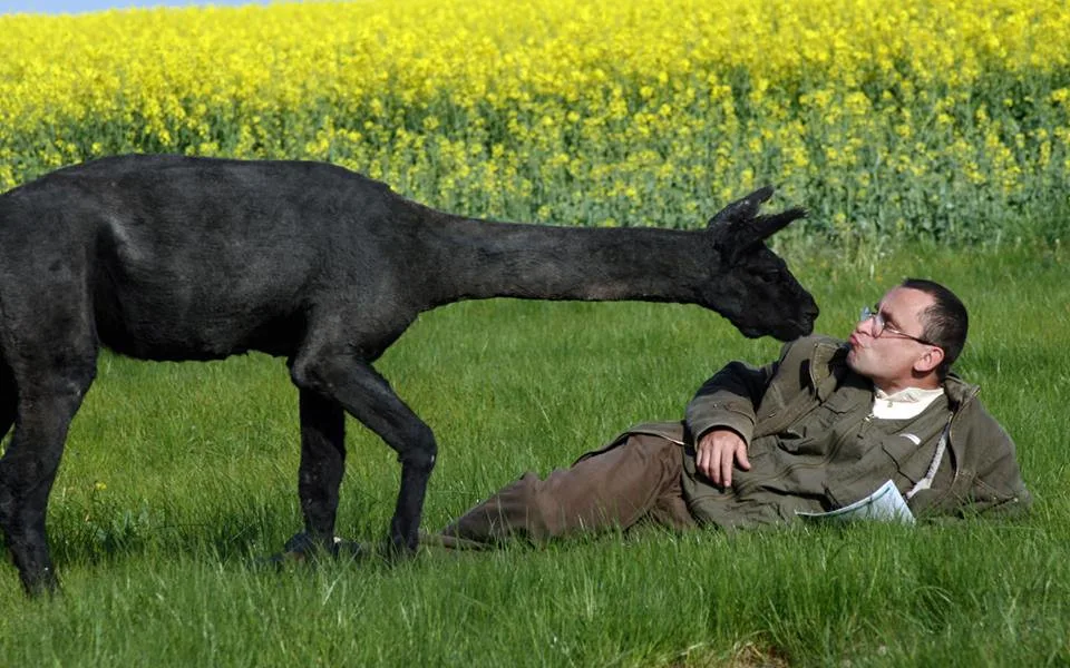 René Franěk a lama.
