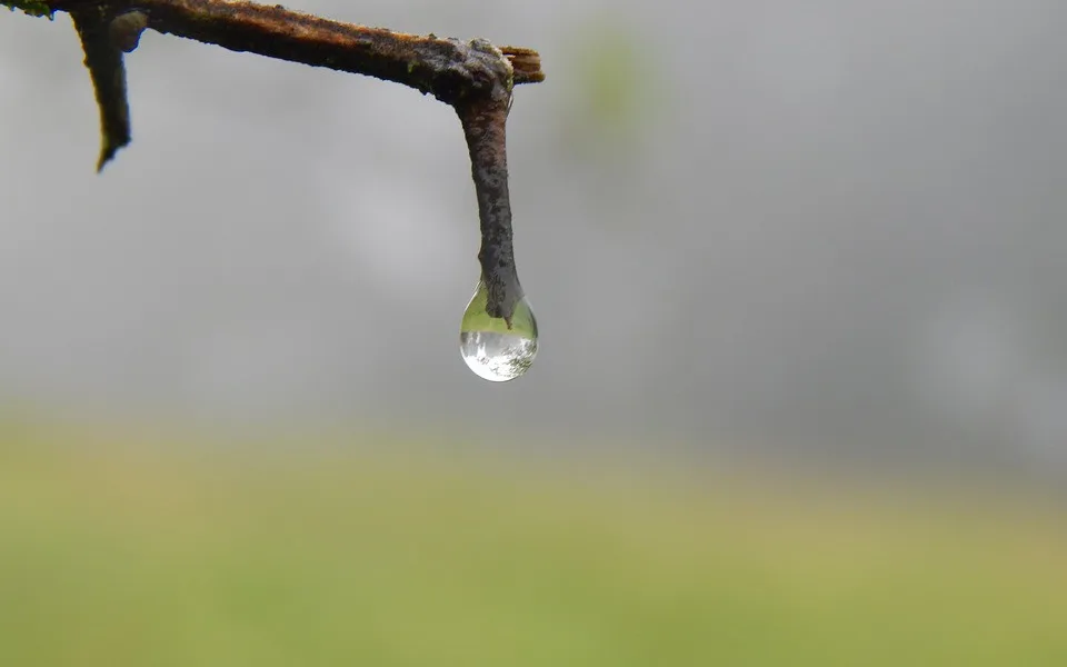 ilustrační foto.