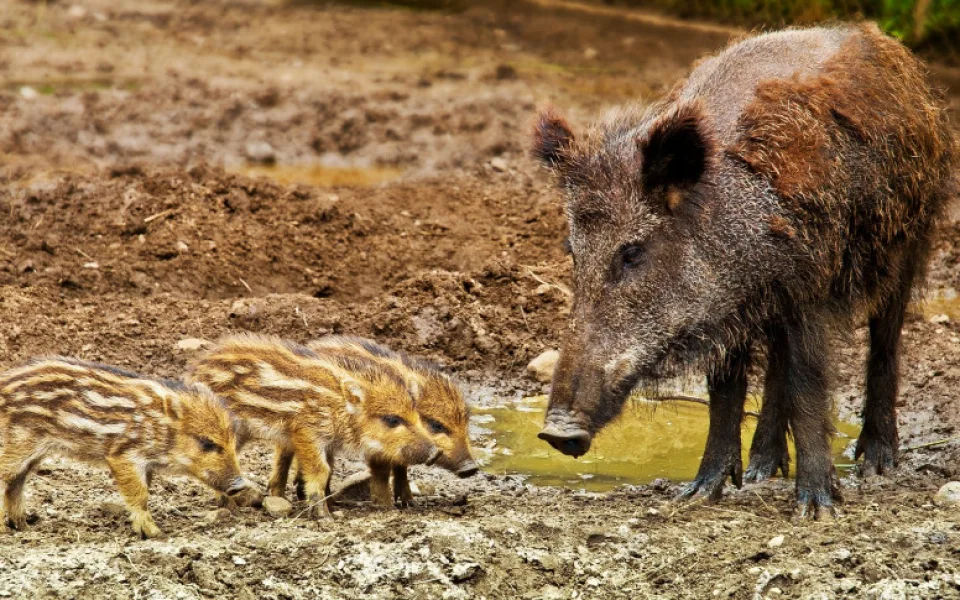 ilustrační foto.