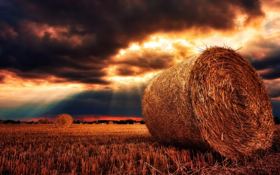 ilustrační foto.