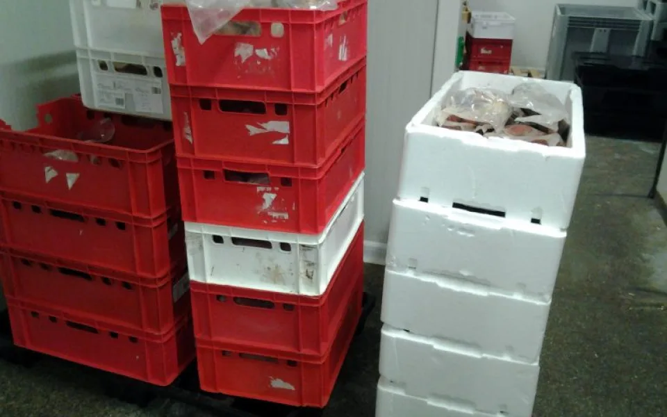Více než půl tuna prošlých potravin ve skladu na Kladensku.