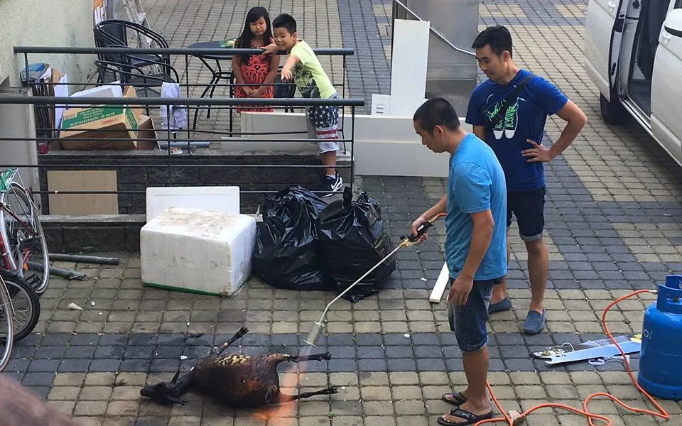 Lidé se pohoršují nad fotografií pořízenou u vietnamské restaurace. Šlo o rodinnou oslavu, říká policie.