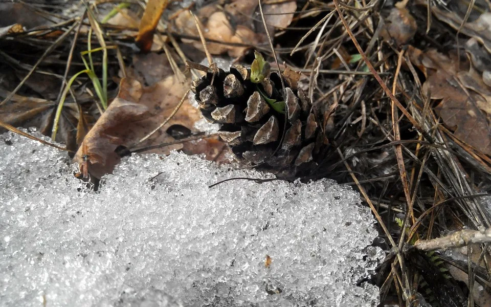 ilustrační foto.