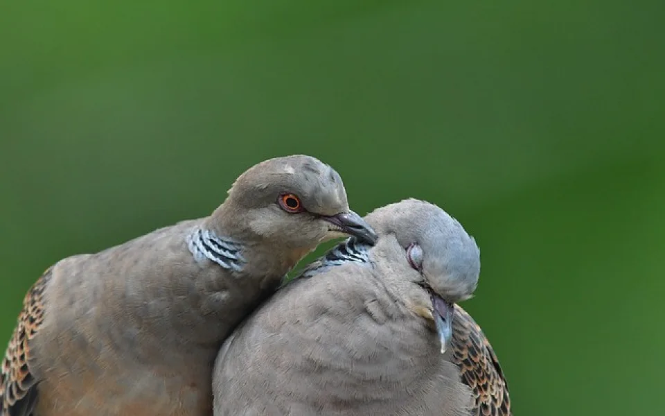 ilustrační foto.