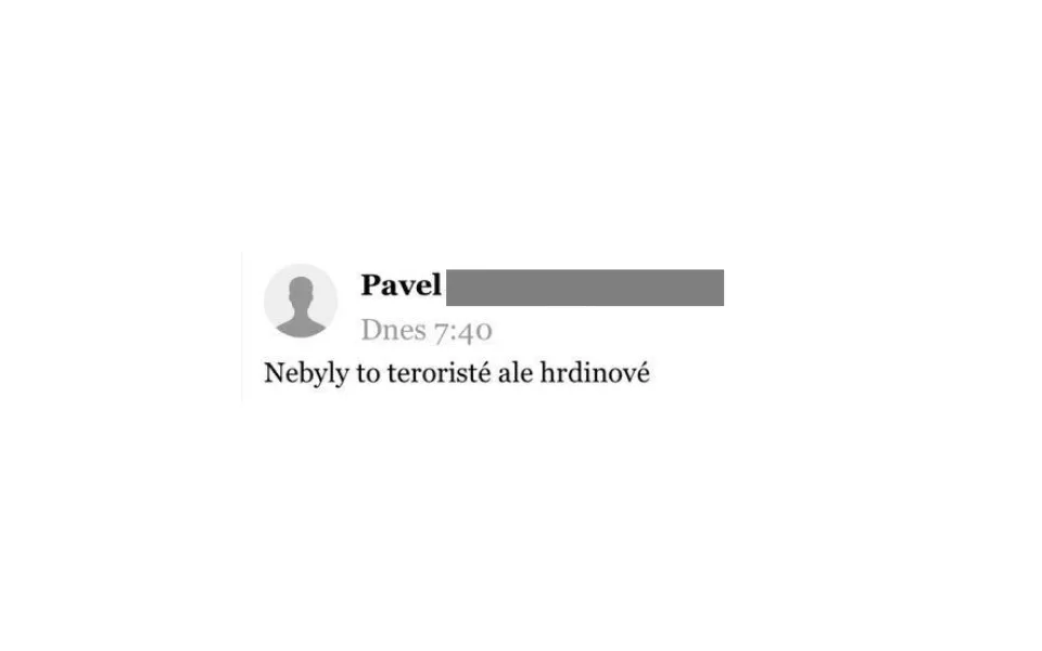 Jeden z komentářů na internetu.