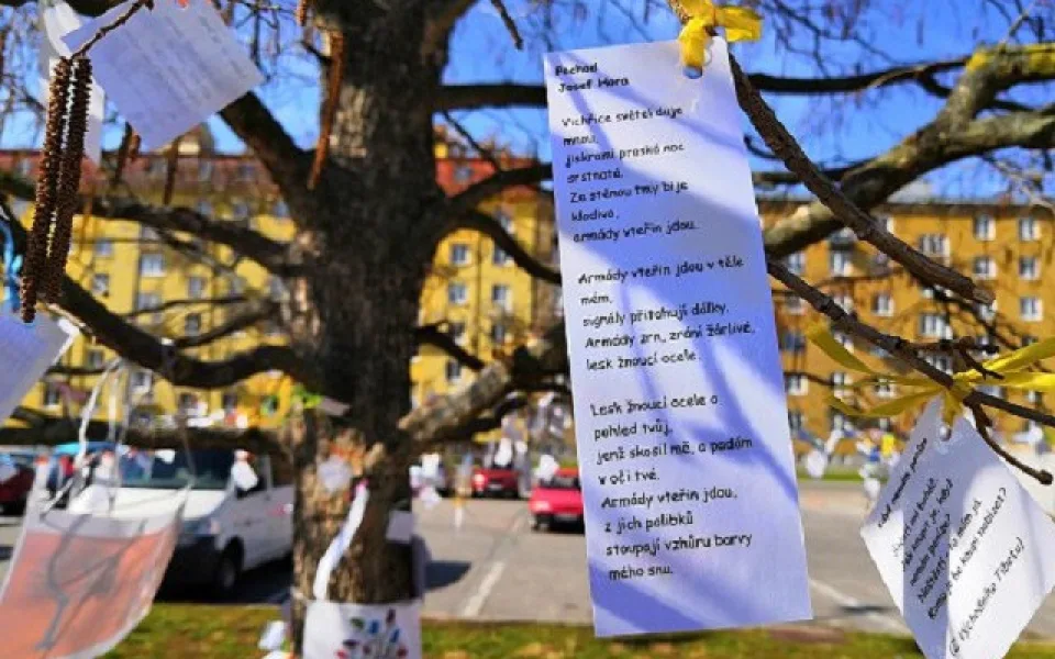 ilustrační foto.