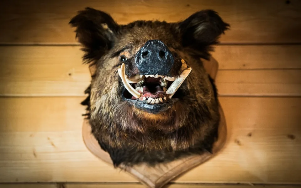 ilustrační foto.
