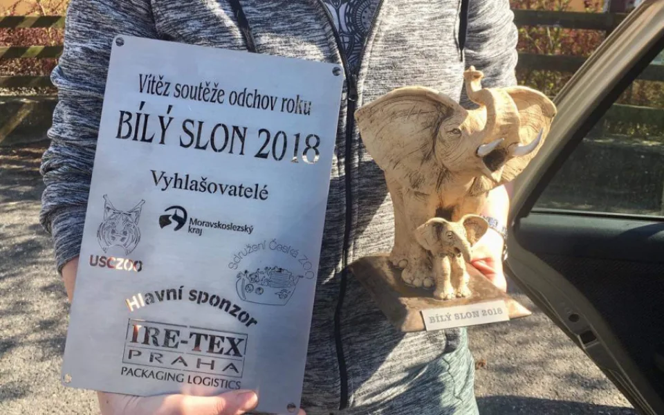 ilustrační foto.