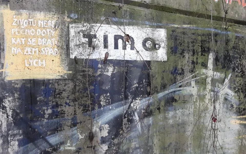 Brněnský fenomén Timo vydává knížku, přispívají na něj fanoušci.